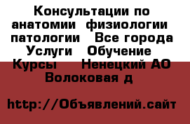 Консультации по анатомии, физиологии, патологии - Все города Услуги » Обучение. Курсы   . Ненецкий АО,Волоковая д.